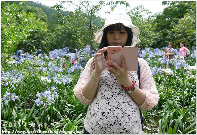 2013。05。26《遊》新社。紫色捧花vs橘色花海『沐心泉』