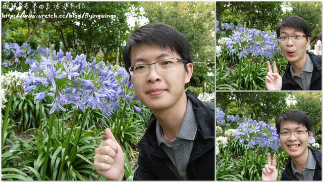 2013。05。26《遊》新社。紫色捧花vs橘色花海『沐心泉』