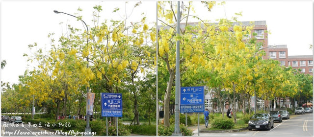 2012。05。25《遊》霧峰。黃金大道『阿勃勒』in 亞洲大學 - 第19張圖 2012。05。25《遊》霧峰。黃金大道『阿勃勒』in 亞洲大學