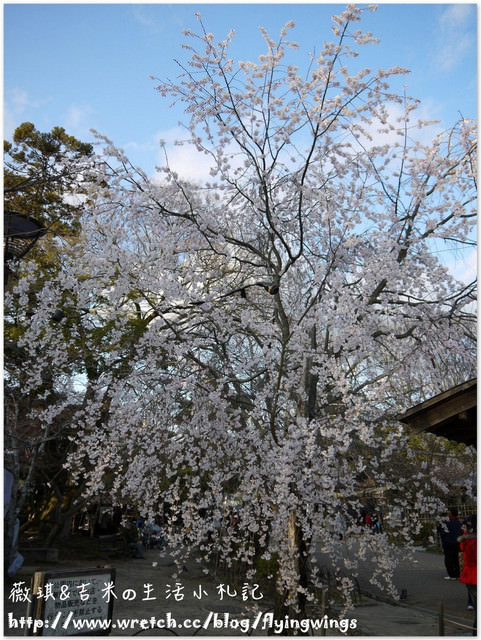 ღ京阪神之挺著大肚飛出去ღDay 3~改良版『相撲火鍋』 & 寂靜的『花見小路』 & 夜訪『京都車站』