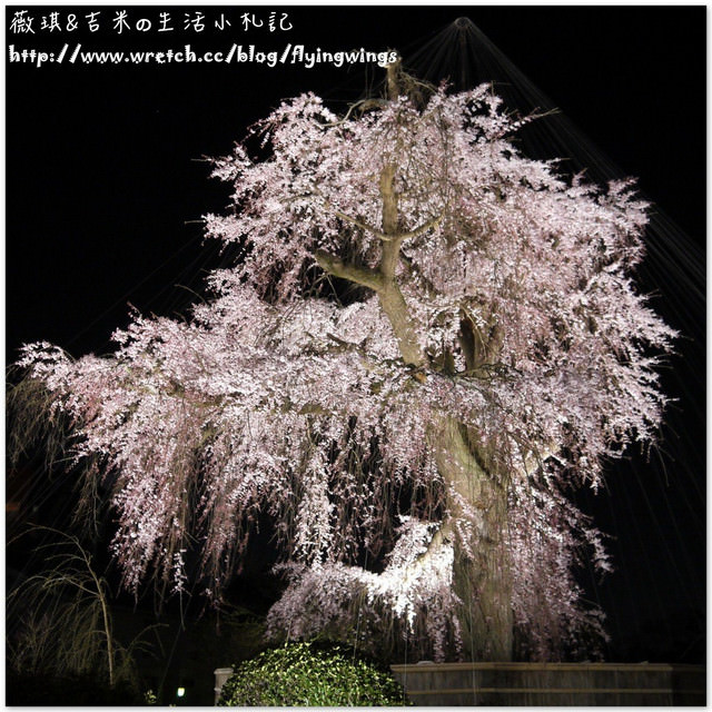 ღ京阪神之挺著大肚飛出去ღDay 3~改良版『相撲火鍋』 & 寂靜的『花見小路』 & 夜訪『京都車站』
