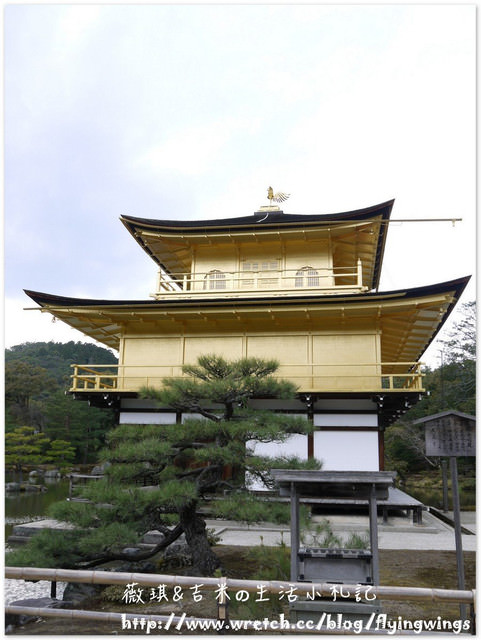 ღ京阪神之挺著大肚飛出去ღDay 3~金碧輝煌『金閣寺』 & 樸實無華『銀閣寺』
