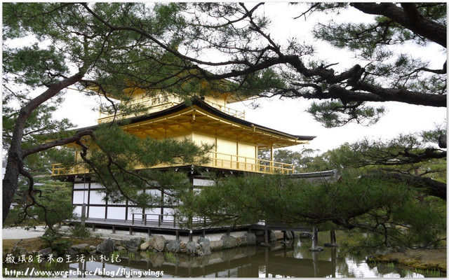 ღ京阪神之挺著大肚飛出去ღDay 3~金碧輝煌『金閣寺』 & 樸實無華『銀閣寺』