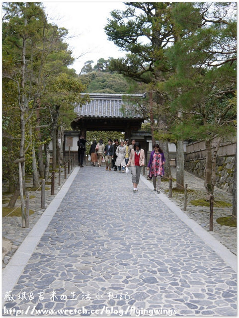 ღ京阪神之挺著大肚飛出去ღDay 3~金碧輝煌『金閣寺』 & 樸實無華『銀閣寺』