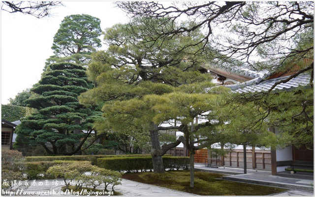 ღ京阪神之挺著大肚飛出去ღDay 3~金碧輝煌『金閣寺』 & 樸實無華『銀閣寺』