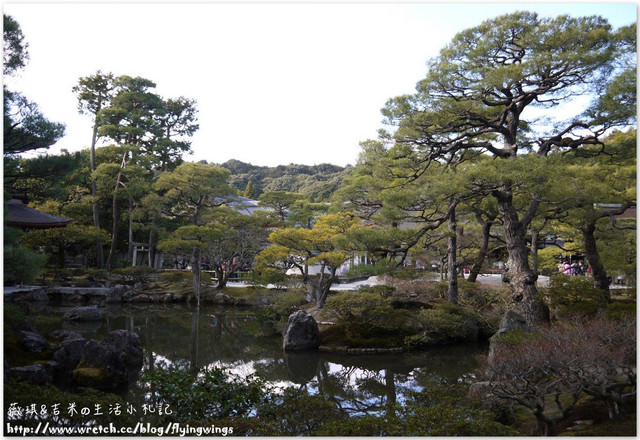 ღ京阪神之挺著大肚飛出去ღDay 3~金碧輝煌『金閣寺』 & 樸實無華『銀閣寺』