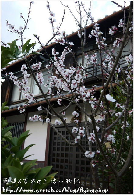 ღ京阪神之挺著大肚飛出去ღDay 3~金碧輝煌『金閣寺』 & 樸實無華『銀閣寺』