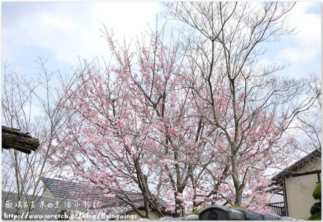 ღ京阪神之挺著大肚飛出去ღDay 3~野宮神社 & 嵐山渡月橋漫遊