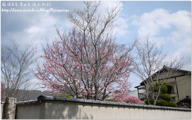 ღ京阪神之挺著大肚飛出去ღDay 3~野宮神社 & 嵐山渡月橋漫遊