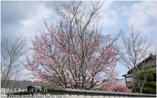 ღ京阪神之挺著大肚飛出去ღDay 3~野宮神社 & 嵐山渡月橋漫遊
