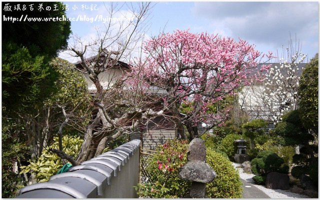 ღ京阪神之挺著大肚飛出去ღDay 3~野宮神社 & 嵐山渡月橋漫遊