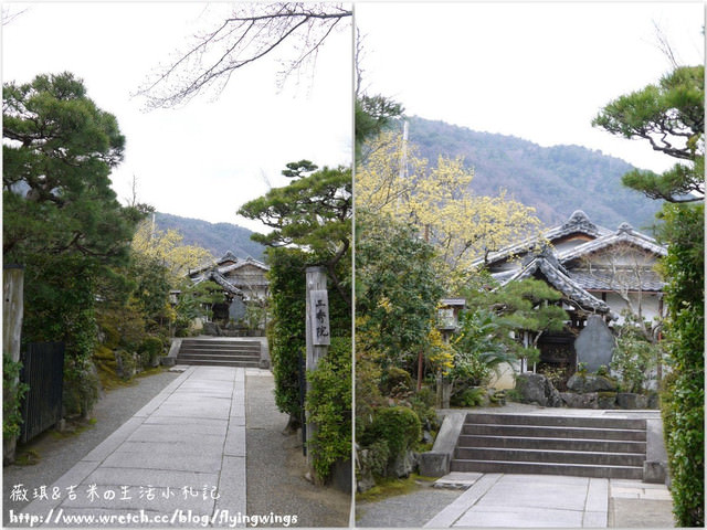 ღ京阪神之挺著大肚飛出去ღDay 3~野宮神社 & 嵐山渡月橋漫遊