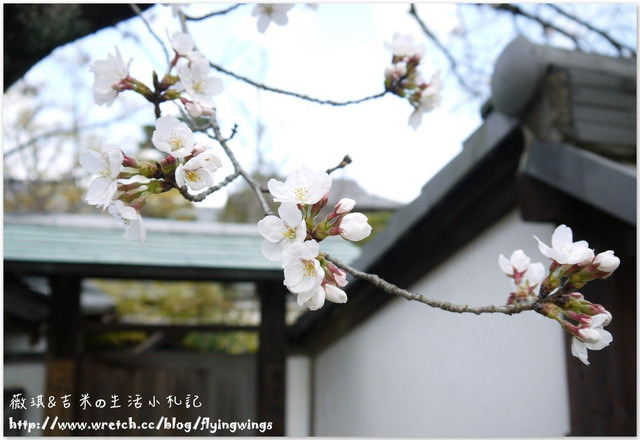 ღ京阪神之挺著大肚飛出去ღDay 3~野宮神社 & 嵐山渡月橋漫遊