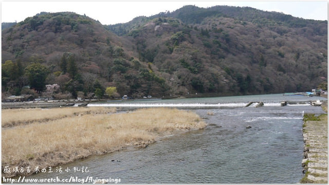 ღ京阪神之挺著大肚飛出去ღDay 3~野宮神社 & 嵐山渡月橋漫遊