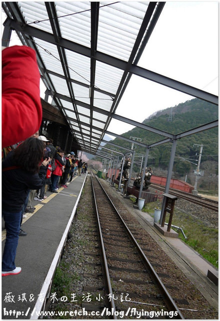 ღ京阪神之挺著大肚飛出去ღDay 3~嵐山小火車 & 竹林探險
