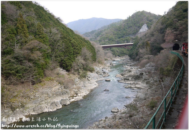 ღ京阪神之挺著大肚飛出去ღDay 3~嵐山小火車 & 竹林探險