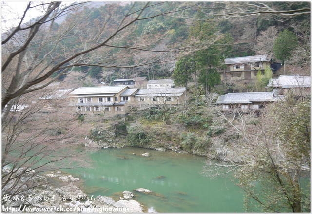 ღ京阪神之挺著大肚飛出去ღDay 3~嵐山小火車 & 竹林探險
