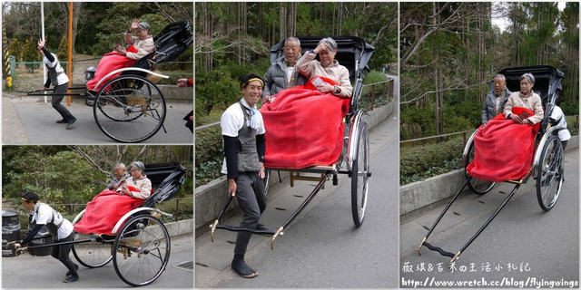 ღ京阪神之挺著大肚飛出去ღDay 3~嵐山小火車 & 竹林探險