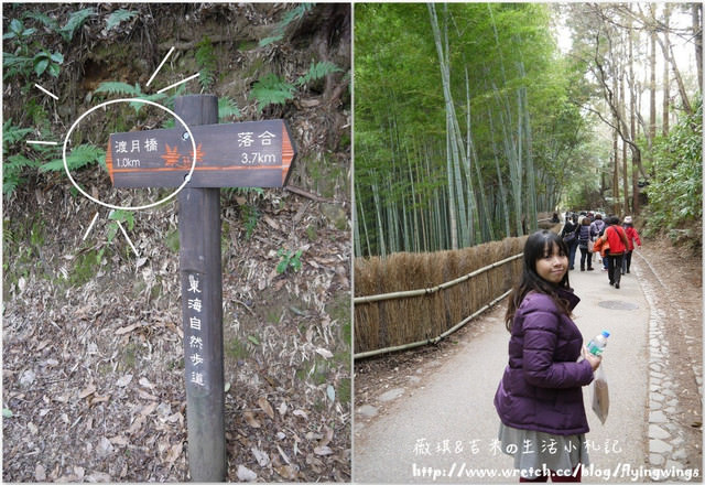 ღ京阪神之挺著大肚飛出去ღDay 3~嵐山小火車 & 竹林探險