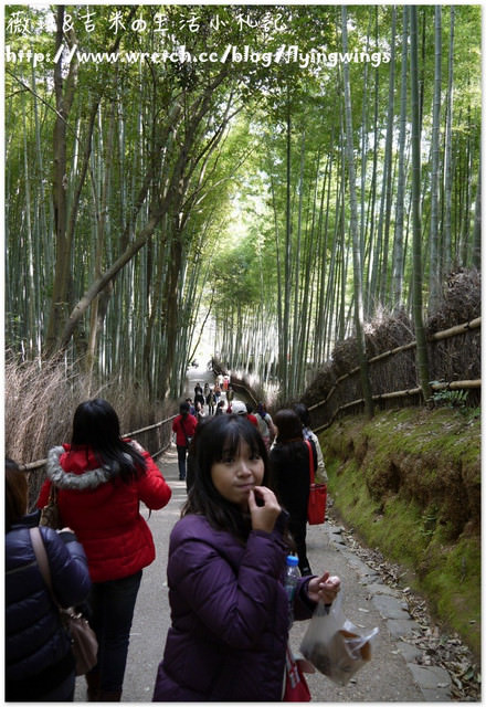 ღ京阪神之挺著大肚飛出去ღDay 3~嵐山小火車 & 竹林探險