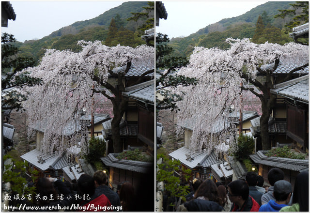 ღ京阪神之挺著大肚飛出去ღDay 2~和服初體驗 & 清水寺漫遊