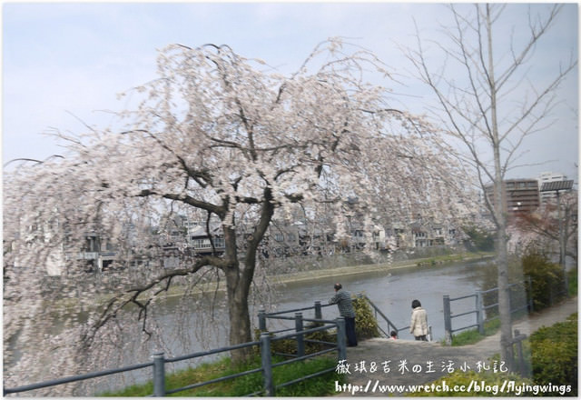 ღ京阪神之挺著大肚飛出去ღDay 2~神戶市役所展望台 & 西陣織會館-和服走秀 - 第19張圖 ღ京阪神之挺著大肚飛出去ღDay 2~神戶市役所展望台 & 西陣織會館-和服走秀