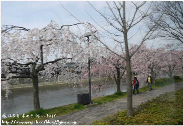 ღ京阪神之挺著大肚飛出去ღDay 2~神戶市役所展望台 & 西陣織會館-和服走秀 - 第20張圖 ღ京阪神之挺著大肚飛出去ღDay 2~神戶市役所展望台 & 西陣織會館-和服走秀
