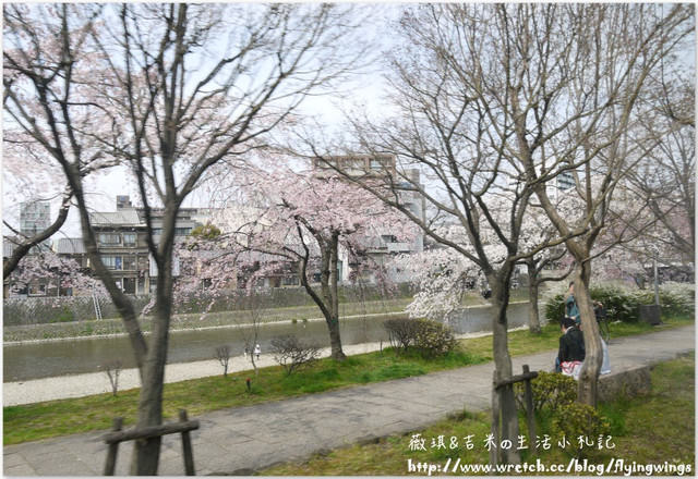 ღ京阪神之挺著大肚飛出去ღDay 2~神戶市役所展望台 & 西陣織會館-和服走秀 - 第22張圖 ღ京阪神之挺著大肚飛出去ღDay 2~神戶市役所展望台 & 西陣織會館-和服走秀