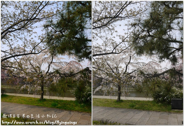 ღ京阪神之挺著大肚飛出去ღDay 2~神戶市役所展望台 & 西陣織會館-和服走秀 - 第23張圖 ღ京阪神之挺著大肚飛出去ღDay 2~神戶市役所展望台 & 西陣織會館-和服走秀