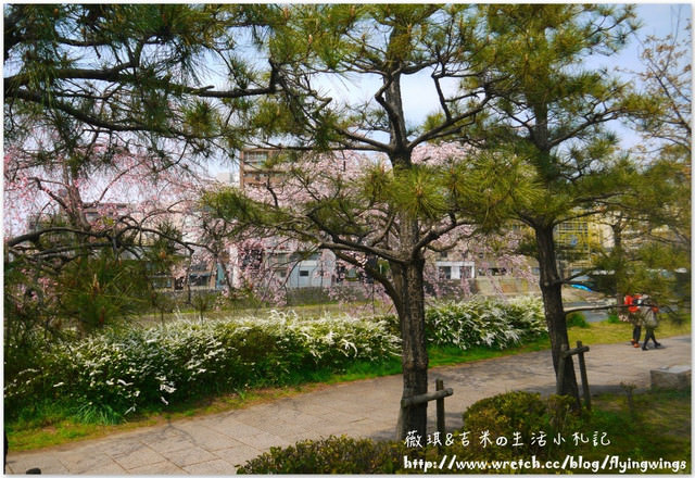 ღ京阪神之挺著大肚飛出去ღDay 2~神戶市役所展望台 & 西陣織會館-和服走秀 - 第24張圖 ღ京阪神之挺著大肚飛出去ღDay 2~神戶市役所展望台 & 西陣織會館-和服走秀