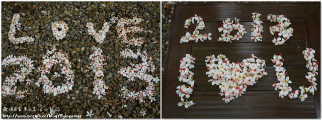 2013。04。17~2013桐花季。彰化芬園~挑水古道 - 第23張圖 2013。04。17~2013桐花季。彰化芬園~挑水古道