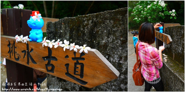 2013。04。17~2013桐花季。彰化芬園~挑水古道 - 第24張圖 2013。04。17~2013桐花季。彰化芬園~挑水古道