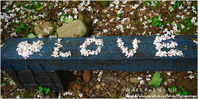 2013。04。17~2013桐花季。彰化芬園~挑水古道 - 第30張圖 2013。04。17~2013桐花季。彰化芬園~挑水古道