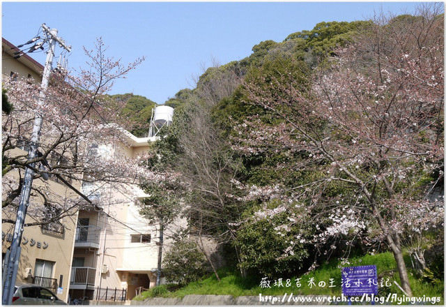 ღ京阪神之挺著大肚飛出去ღDay 2~神戶北野風見雞館 & 星巴克-北野館物語 - 第41張圖 ღ京阪神之挺著大肚飛出去ღDay 2~神戶北野風見雞館 & 星巴克-北野館物語