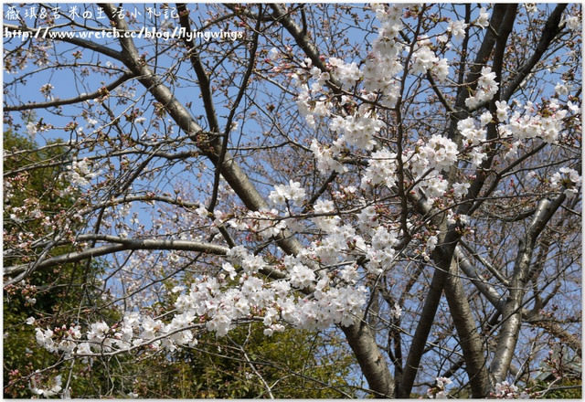 ღ京阪神之挺著大肚飛出去ღDay 2~神戶北野風見雞館 & 星巴克-北野館物語 - 第42張圖 ღ京阪神之挺著大肚飛出去ღDay 2~神戶北野風見雞館 & 星巴克-北野館物語