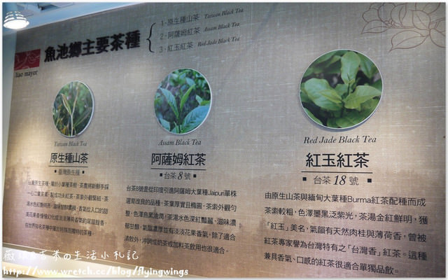 2013。03。17《遊》南投。埔里魚池半日遊之二『廖鄉長紅茶故事館』