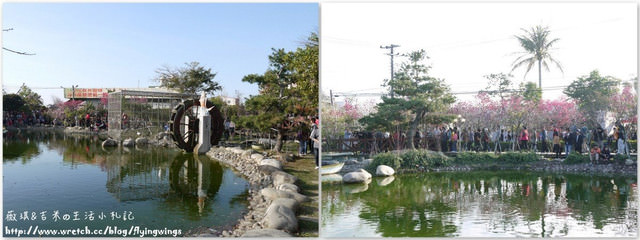 2013。02。15《遊》彰化。我們訪櫻去『芬園花卉生產休憩園區』 - 第17張圖 2013。02。15《遊》彰化。我們訪櫻去『芬園花卉生產休憩園區』