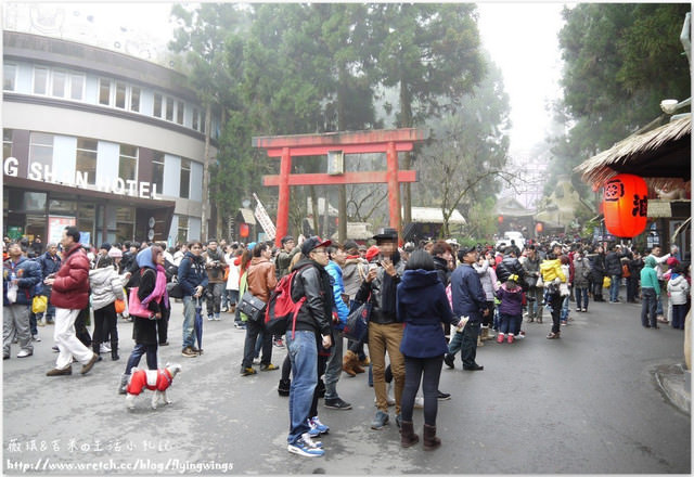 2012。12。31《遊》南投。2012年尾聲，我們去走走