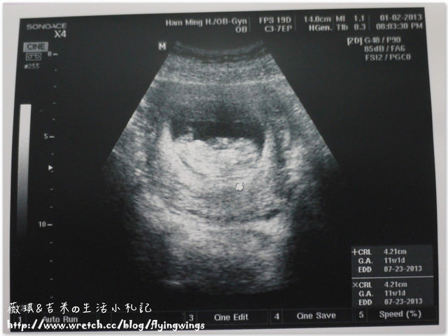 Hello~Baby