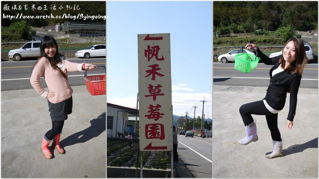 2013。01。06《遊》苗栗。大湖草莓趣