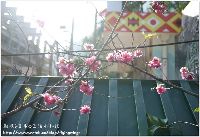 2012。10。12《遊》台中。谷關漫遊 - 第17張圖 2012。10。12《遊》台中。谷關漫遊