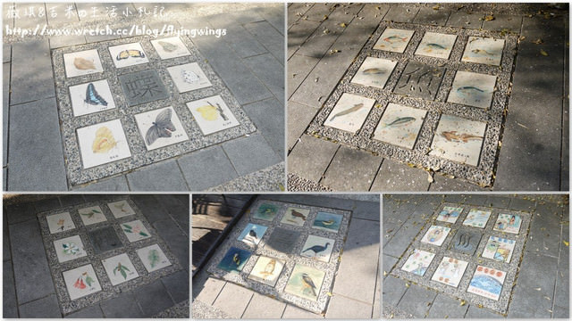 2012。10。12《遊》台中。谷關漫遊 - 第25張圖 2012。10。12《遊》台中。谷關漫遊