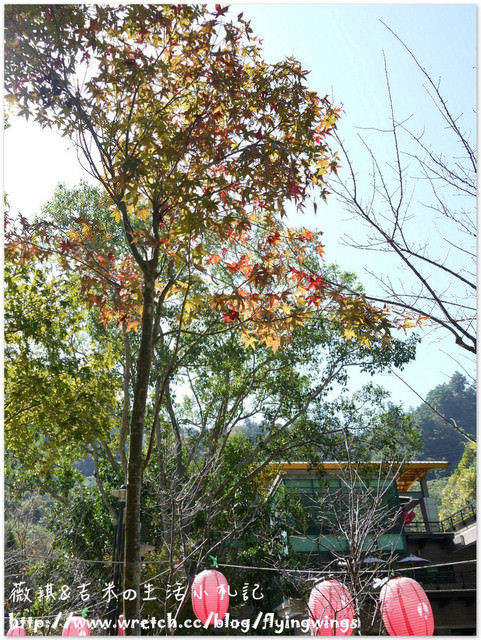 2012。10。12《遊》台中。谷關漫遊 - 第55張圖 2012。10。12《遊》台中。谷關漫遊