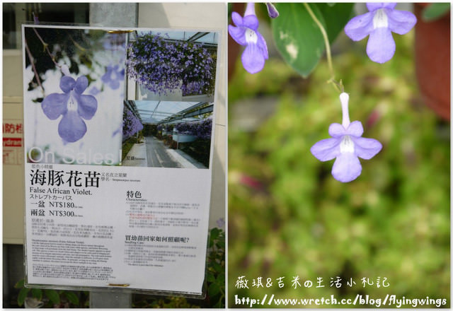 2012。10。06《遊》彰化。Family Day『田尾。菁芳園』