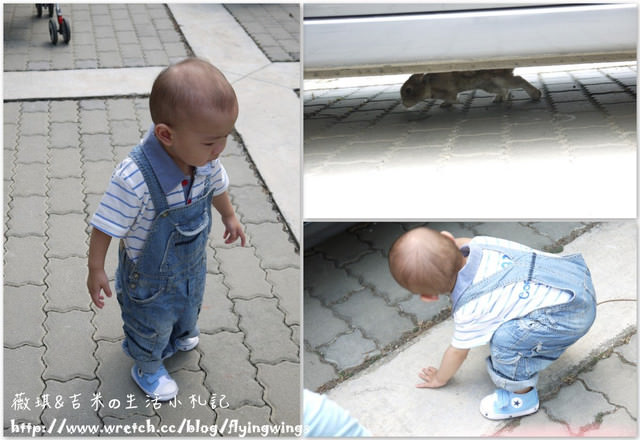 2012。10。06《遊》彰化。Family Day『田尾。菁芳園』
