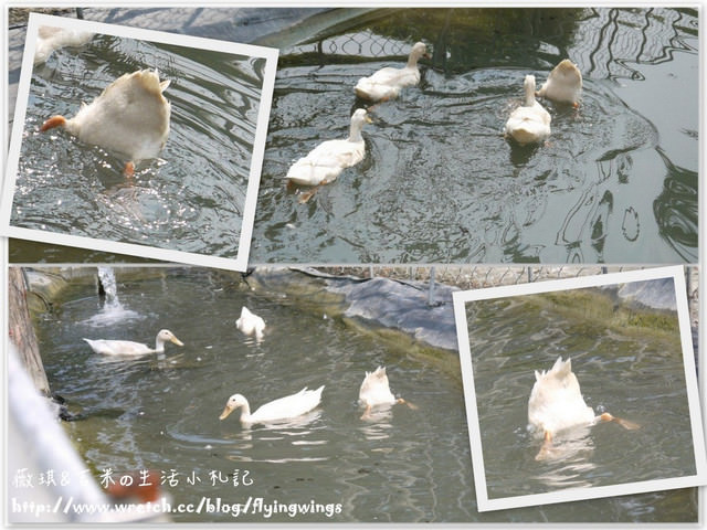 2012。10。06《遊》彰化。Family Day『田尾。菁芳園』