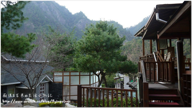 【來去住一晚】☪溫泉飯店☪台中。谷關伊豆日式露天溫泉