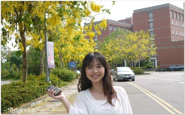 2012。05。27《遊》台中霧峰。黃金大道『迷人的阿勃勒』in 亞洲大學