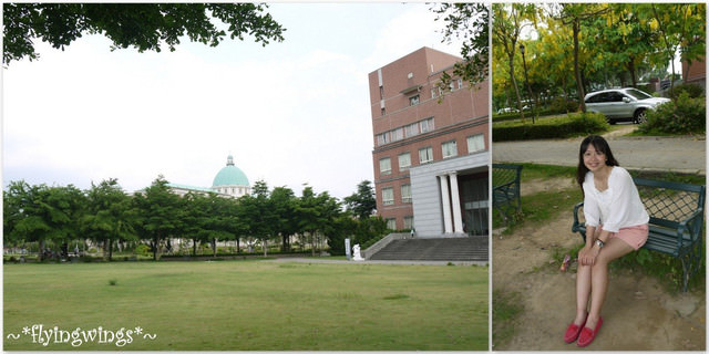 2012。05。27《遊》台中霧峰。黃金大道『迷人的阿勃勒』in 亞洲大學