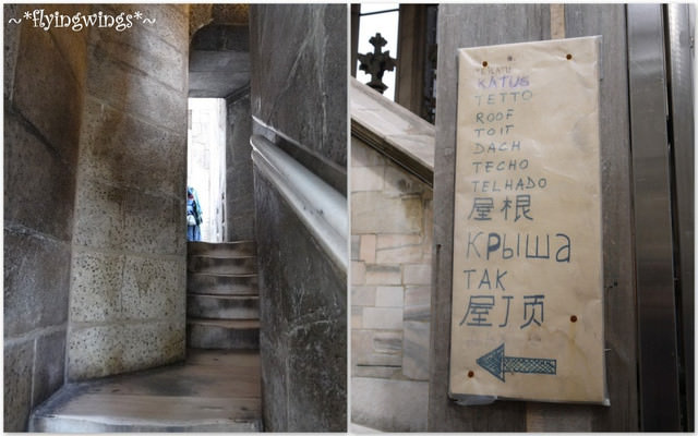 ❤HonEyMOon❤Day 7 站在世界的屋頂『米蘭大教堂』2012。04。13